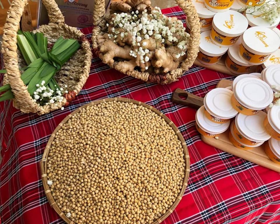 Hình minh họa bài viết: Giới thiệu Covang